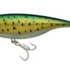 Berkley DEX Stick Shad 18cm 1 Berkley DEX Stick Shad 18cm -Spro Winkel Berkley DEX Stick Shad 18cm Mahi Mahi 18cm 1550656