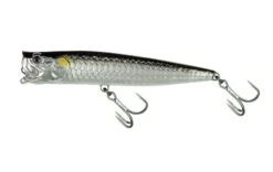 Molix Popper 85T Popper Tarpon Floating -Spro Winkel Molix Popper 85T Popper Tarpon Floating Tarpon 182