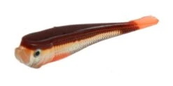 Rozemeijer Urban Sense Micro Tail 6cm 5pcs -Spro Winkel Rozemeijer Urban Sense Micro Tail Bloody Minnow 66733
