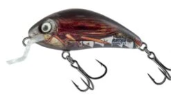 Salmo Rattlin Hornet Floating Shallow 3,5cm 3,0gr 11 Salmo Rattlin Hornet Floating Shallow 3,5cm 3,0gr -Spro Winkel Salmo Rattlin Hornet Floating Shallow 3 5cm 3 0gr 4