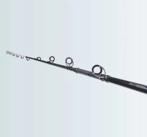 Shimano Rod Salty Advance Spinning Sea Bass 4 Shimano Rod Salty Advance Spinning Sea Bass - Afbeelding 2