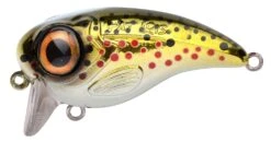 Spro Fat Iris 50 5cm 10gr -Spro Winkel Spro Fat Iris 50 5cm 10gr Brown Trout 4867 2110