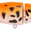 Spro Pikefighter Triple Jointed DD 145 -Floating- 14,5cm/54g -Spro Winkel Spro Pikefighter Triple Jointed DD 145 Floating 145cm 54g UV Orange Koi 4908 404