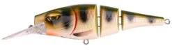 Spro Pikefighter Triple Jointed DD 145 -Floating- 14,5cm/54g -Spro Winkel Spro Pikefighter Triple Jointed DD 145 Floating 145cm 54g UV Perch 4908 402