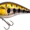 Spro Power Catcher Cranck 60 6cm Floating -Spro Winkel Spro Power Catcher Cranck 50 5cm Floating Gold Trout 4385 006 1