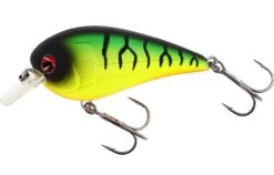 Westin Bassbite 6cm Floating 7 Westin Bassbite 6cm Floating -Spro Winkel Westin BassBite Squarebill 6 cm Firetiger P154 099 148