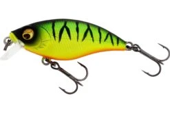 Westin Buzzbite 5cm SR (Shallow Runner) -Spro Winkel Westin Buzzbite 5cm SR Shallow Runner Firetiger P147 099 001