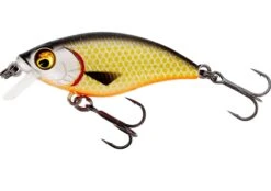 Westin Buzzbite 5cm SR (Shallow Runner) -Spro Winkel Westin Buzzbite 5cm SR Shallow Runner Official Roach P147 155 001